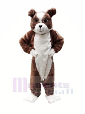 Peluche marron Bouledogue Mascotte Les costumes Dessin animé