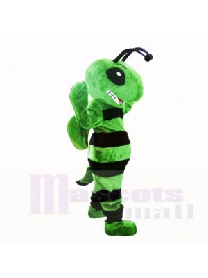 Amical vert abeille Costumes De Mascotte Adulte