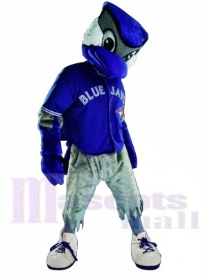 Chemise bleue Toronto Geai bleu Costume de mascotte
