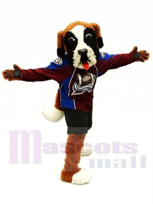 Avalanche du Colorado St Bernie Hurleur Costume de mascotte