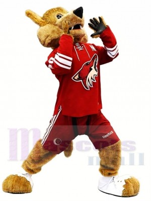 Arizona Coyotes Hurleur Costume de mascotte