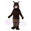 Écureuil brun Costumes De Mascotte
