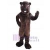 Castor costume de mascotte