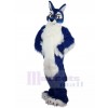 Loup costume de mascotte