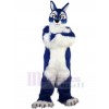 Loup costume de mascotte