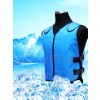 Gilet de refroidissement Système de refroidissement Avec 8 Sac de glace Pour Costume de mascotte