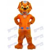 La Pat' Patrouill Sauveteur d'eau de chocolat Labrador Pup Paw Patrol Zuma Costume de mascotte de chien