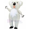 Costume gonflable de koala