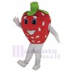 Fraise costume de mascotte