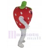 Fraise costume de mascotte