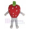 Fraise costume de mascotte