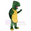 Tortue costume de mascotte