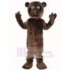 Cool marron Ours Mascotte Costume