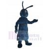 Insecte costume de mascotte