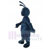 Insecte costume de mascotte