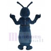 Insecte costume de mascotte