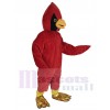 Oiseau cardinal costume de mascotte