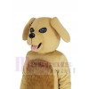 Chien costume de mascotte