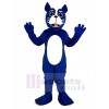 Bleu Boston Terrier Chien Mascotte Costume Animal