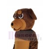 Chien Rottweiler costume de mascotte