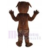 Chien Rottweiler costume de mascotte