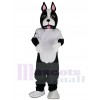 Chien costume de mascotte