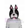 Chien costume de mascotte