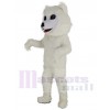 Chien Samoyède costume de mascotte