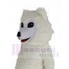 Chien Samoyède costume de mascotte