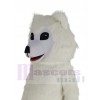 Chien Samoyède costume de mascotte