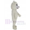 Chien Samoyède costume de mascotte