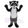 Raton Laveur costume de mascotte