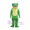 Grenouille costume de mascotte