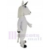 Licorne Cheval costume de mascotte