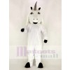 Licorne Cheval Mascotte Costume École