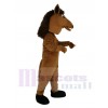 Poney Cheval maskottchen kostüm