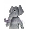 Éléphant costume de mascotte