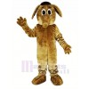 marron Aardvark Mascotte Costume Animal