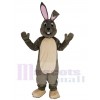 Lapin de Pâques costume de mascotte