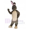 Lapin de Pâques costume de mascotte