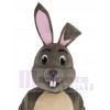 Lapin de Pâques costume de mascotte