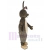 Lapin de Pâques costume de mascotte