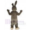 Lapin de Pâques costume de mascotte