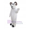 Chèvre costume de mascotte