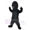 Gorille costume de mascotte