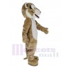 Lynx costume de mascotte