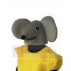 Souris costume de mascotte