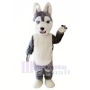 Mignonne Gris Rauque Chien Mascotte Les costumes Animal