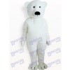 Costume de mascotte adulte animal ours blanc