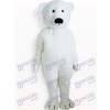 Costume de mascotte adulte animal ours blanc